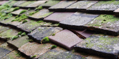 Cackle Street roof repair costs